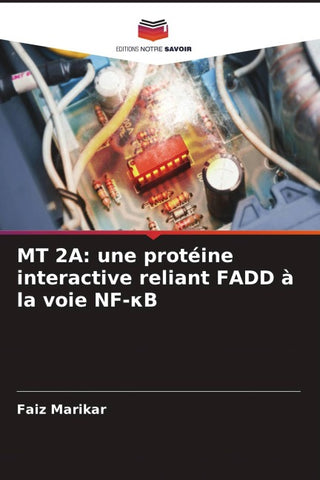 MT 2A: une protéine interactive reliant FADD à la voie NF-¿B