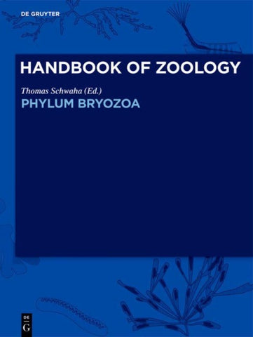 Phylum Bryozoa