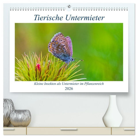 Tierische Untermieter (hochwertiger Premium Wandkalender 2026 DIN A2 quer), Kunstdruck in Hochglanz