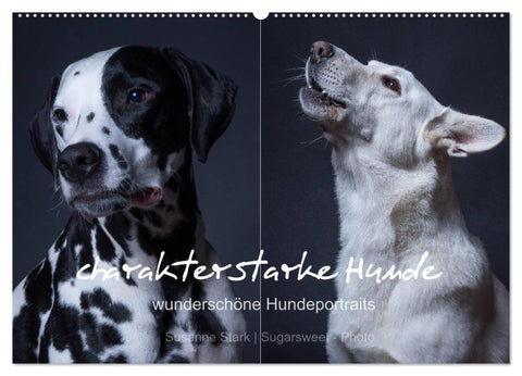 charakterstarke Hunde, wunderschöne Hundeportraits (Wandkalender 2027 DIN A2 quer), CALVENDO Monatskalender