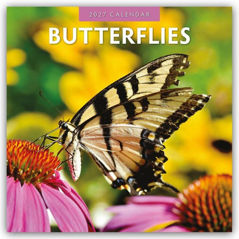 Butterflies – Schmetterlinge 2027 – 16-Monatskalender