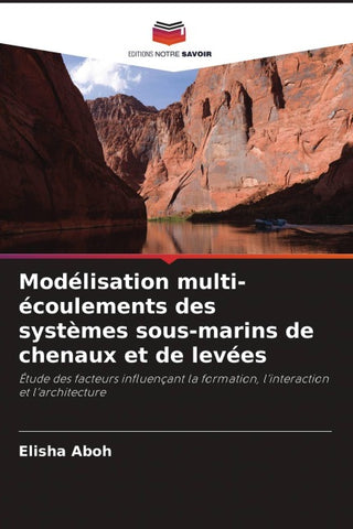 Modélisation multi-écoulements des systèmes sous-marins de chenaux et de levées