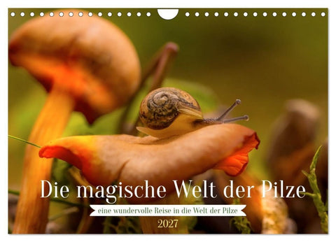 Die magische Welt der Pilze (Wandkalender 2027 DIN A4 quer), CALVENDO Monatskalender