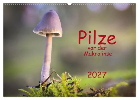 Pilze vor der Makrolinse 2027 (Wandkalender 2027 DIN A2 quer), CALVENDO Monatskalender