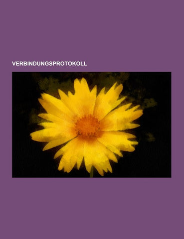 Verbindungsprotokoll