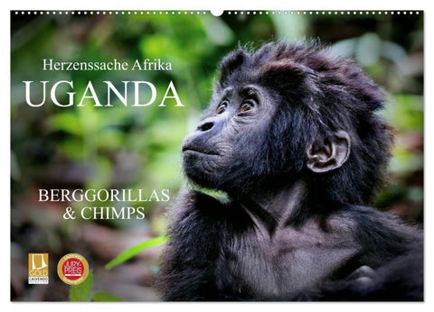 UGANDA - Berggorillas & Chimps (Wandkalender 2027 DIN A2 quer), CALVENDO Monatskalender