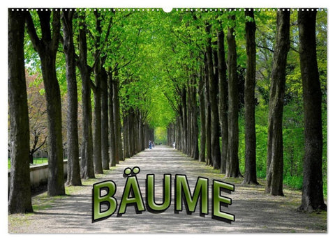 Bäume 2027 (Wandkalender 2027 DIN A2 quer), CALVENDO Monatskalender