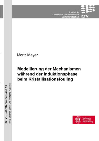 Modellierung der Mechanismen während der Induktionsphase beim Kristallisationsfouling (Band 18)