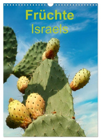 Früchte Israels (Wandkalender 2027 DIN A3 hoch), CALVENDO Monatskalender