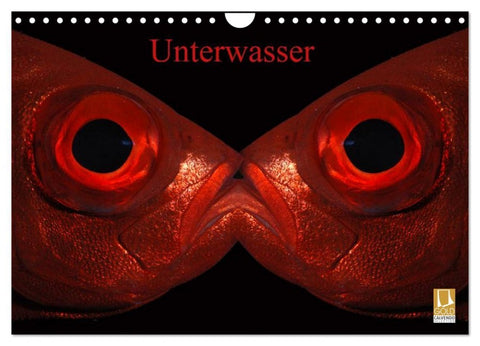 Unterwasser (Wandkalender 2026 DIN A4 quer), CALVENDO Monatskalender
