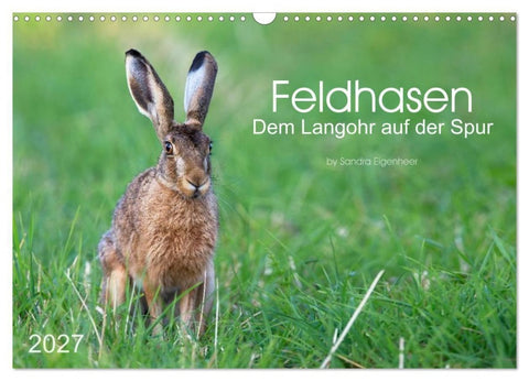 Feldhasen - dem Langohr auf der Spur (Wandkalender 2027 DIN A3 quer), CALVENDO Monatskalender