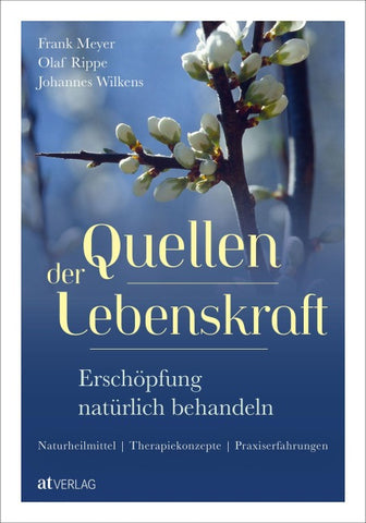 Quellen der Lebenskraft – Erschöpfung natürlich behandeln