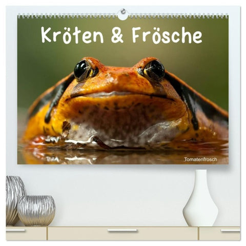 Kröten & Frösche (hochwertiger Premium Wandkalender 2027 DIN A2 quer), Kunstdruck in Hochglanz