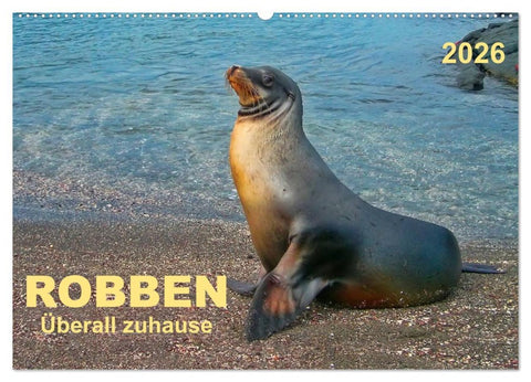 Robben - überall zuhause (Wandkalender 2026 DIN A2 quer), CALVENDO Monatskalender