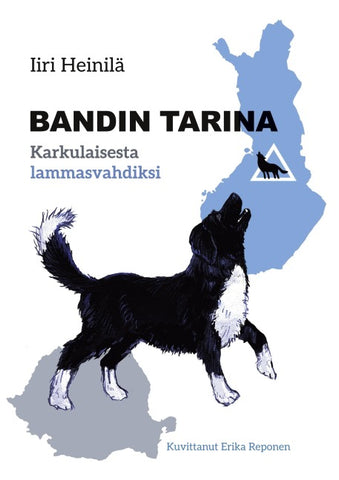 Bandin tarina