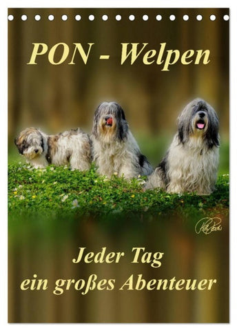PON-Welpen - jeder Tag ein großes Abenteuer / Planer (Tischkalender 2026 DIN A5 hoch), CALVENDO Monatskalender