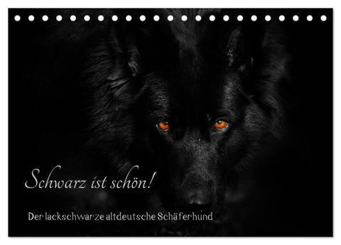 Schwarz ist schön! Der lackschwarze altdeutsche Schäferhund (Tischkalender 2026 DIN A5 quer), CALVENDO Monatskalender