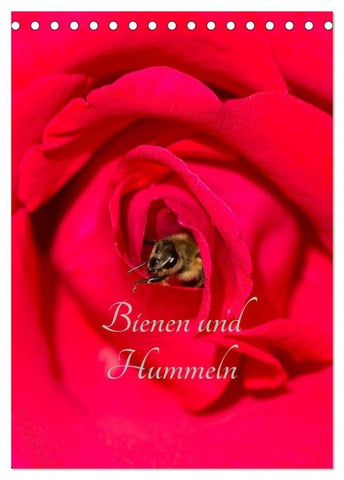 Bienen und Hummeln (Tischkalender 2027 DIN A5 hoch), CALVENDO Monatskalender