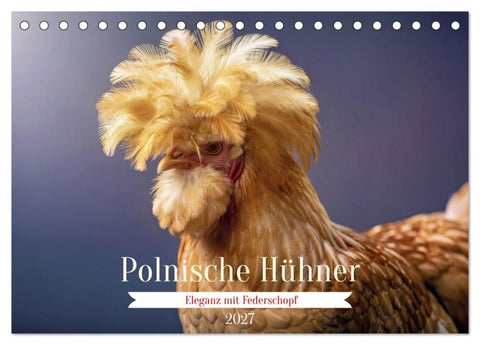 Polnische Hühner (Tischkalender 2027 DIN A5 quer), CALVENDO Monatskalender