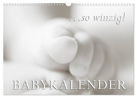 ...so winzig - Babykalender (Wandkalender 2027 DIN A3 quer), CALVENDO Monatskalender