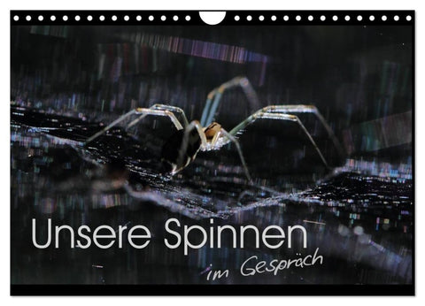 Unsere Spinnen - im Gespräch (Wandkalender 2027 DIN A4 quer), CALVENDO Monatskalender