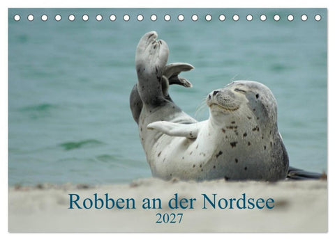 Robben an der Nordsee (Tischkalender 2027 DIN A5 quer), CALVENDO Monatskalender