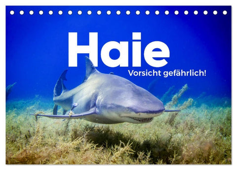 Haie - Vorsicht gefährlich! (Tischkalender 2026 DIN A5 quer), CALVENDO Monatskalender