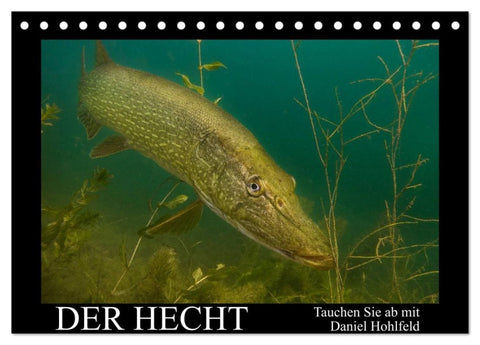 Der Hecht - Tauchen Sie ab mit Daniel Hohlfeld (Tischkalender 2027 DIN A5 quer), CALVENDO Monatskalender