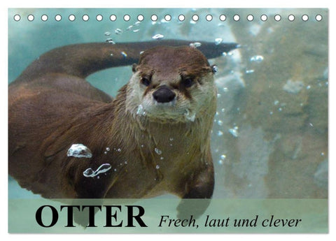 Otter. Frech, laut und clever (Tischkalender 2027 DIN A5 quer), CALVENDO Monatskalender