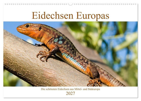 Eidechsen Europas (Wandkalender 2027 DIN A2 quer), CALVENDO Monatskalender