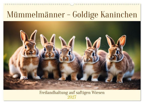Mümmelmänner - Goldige Kaninchen (Wandkalender 2027 DIN A2 quer), CALVENDO Monatskalender
