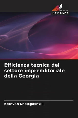 Efficienza tecnica del settore imprenditoriale della Georgia