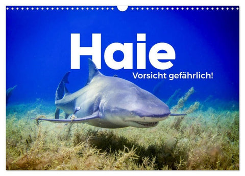 Haie - Vorsicht gefährlich! (Wandkalender 2027 DIN A3 quer), CALVENDO Monatskalender