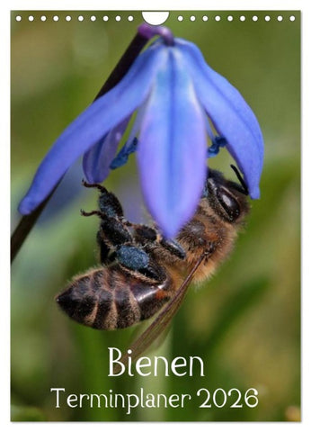 Bienen-Terminplaner 2026 (Wandkalender 2026 DIN A4 hoch), CALVENDO Monatskalender
