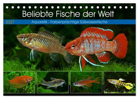 Beliebte Fische der Welt (Tischkalender 2027 DIN A5 quer), CALVENDO Monatskalender