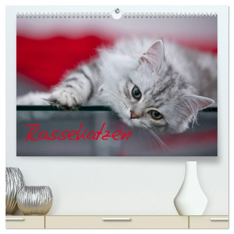 Rassekatzen (hochwertiger Premium Wandkalender 2027 DIN A2 quer), Kunstdruck in Hochglanz