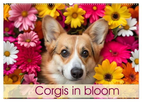 Corgis in Bloom (Wall Calendar 2026 DIN A2 landscape), CALVENDO 12 Month Wall Calendar