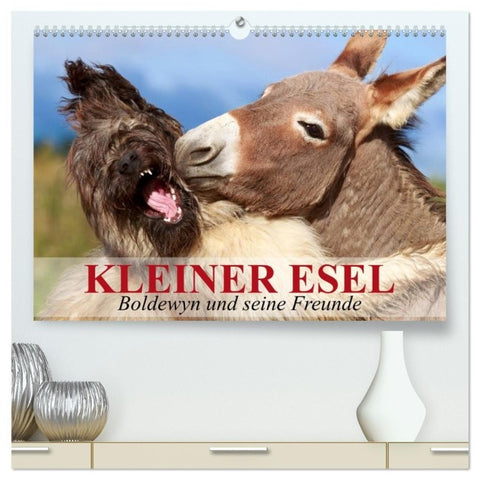 Kleiner Esel. Boldewyn und seine Freunde (hochwertiger Premium Wandkalender 2027 DIN A2 quer), Kunstdruck in Hochglanz