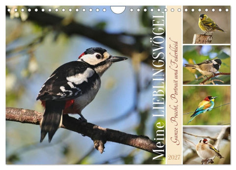Meine Lieblingsvögel (Wandkalender 2027 DIN A4 quer), CALVENDO Monatskalender