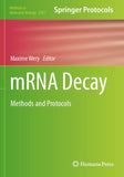 mRNA Decay