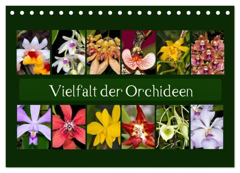 Vielfalt der Orchideen (Tischkalender 2027 DIN A5 quer), CALVENDO Monatskalender