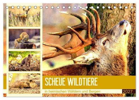 Scheue Wildtiere in heimischen Wäldern und Bergen (Tischkalender 2027 DIN A5 quer), CALVENDO Monatskalender