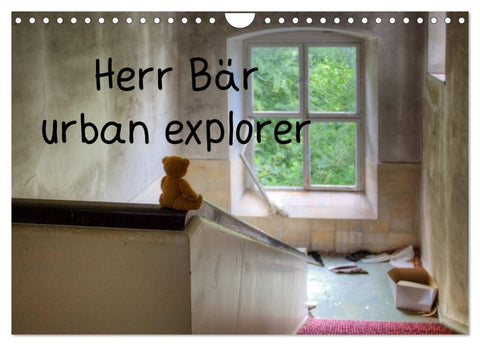 Herr Bär urban explorer (Wandkalender 2027 DIN A4 quer), CALVENDO Monatskalender