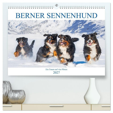 Berner Sennenhund - Ein Traum auf vier Pfoten (hochwertiger Premium Wandkalender 2027 DIN A2 quer), Kunstdruck in Hochglanz