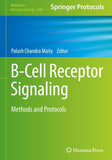 B-Cell Receptor Signaling