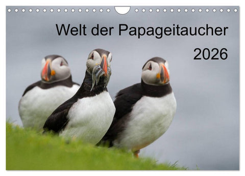 Welt der Papageitaucher (Wandkalender 2026 DIN A4 quer), CALVENDO Monatskalender