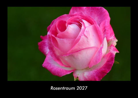 Rosentraum 2027 Fotokalender DIN A3