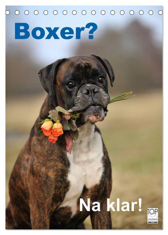 Boxer? Na klar! (Tischkalender 2027 DIN A5 hoch), CALVENDO Monatskalender