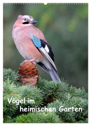 Vögel im heimischen Garten (Wandkalender 2027 DIN A2 hoch), CALVENDO Monatskalender