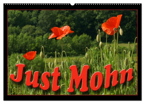 Just Mohn (Wandkalender 2026 DIN A2 quer), CALVENDO Monatskalender
